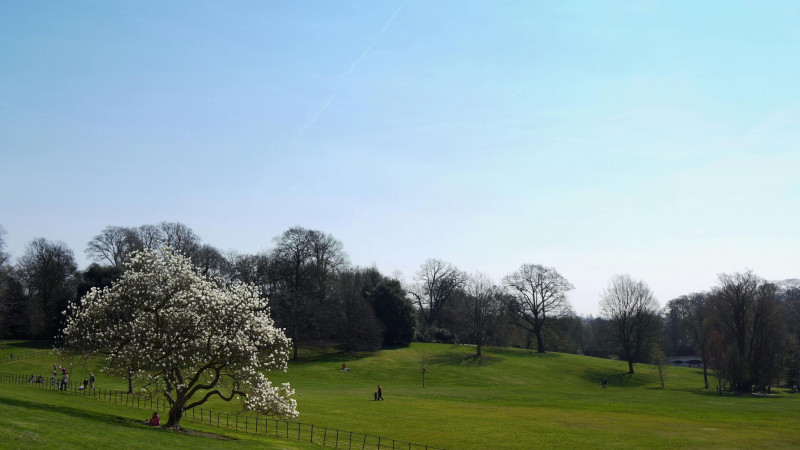 Practical Guide to Property Value Growth